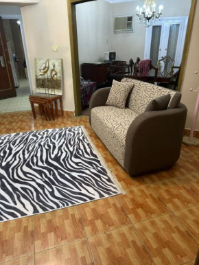 Park View Apartment